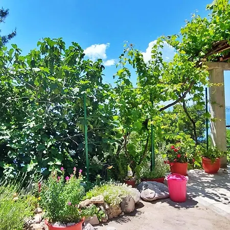 Dogo Apartman